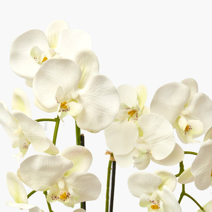 Faux Orchid in Large Clay Pot - 109cm