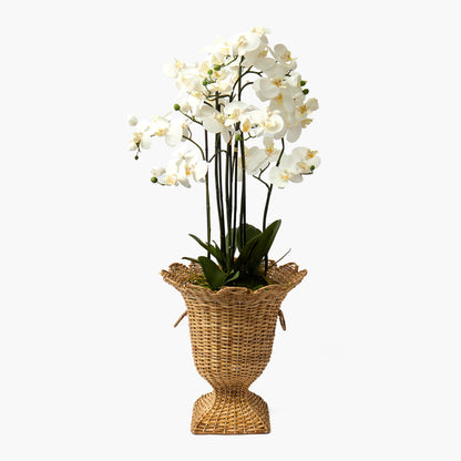 Faux Orchid in Soil - 110cm